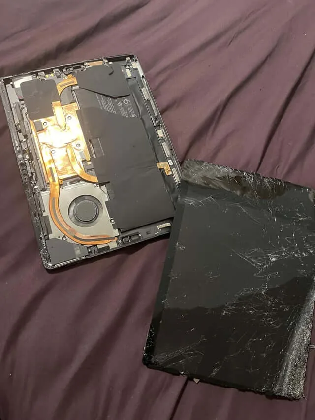 stacionaraus kompo remontas lietuva kedainiuose